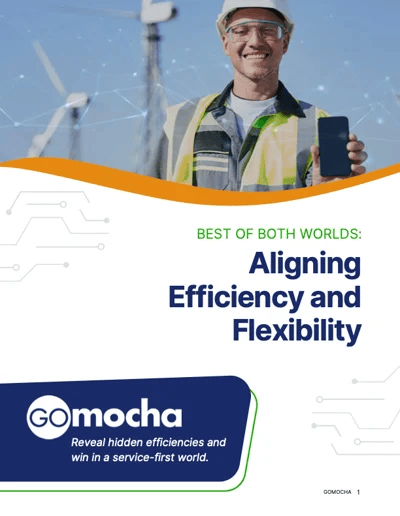 Best of Both Worlds: Aligning Efficiency and Flexibility